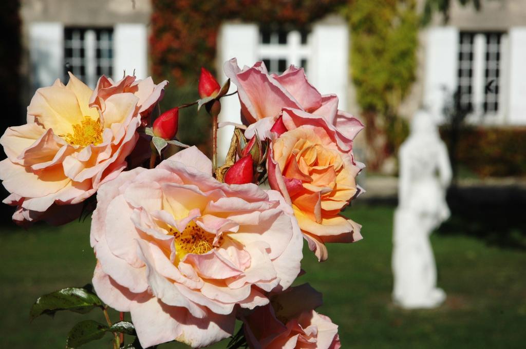 Bed and Breakfast Domaine De La Queyssie Saussignac Zewnętrze zdjęcie