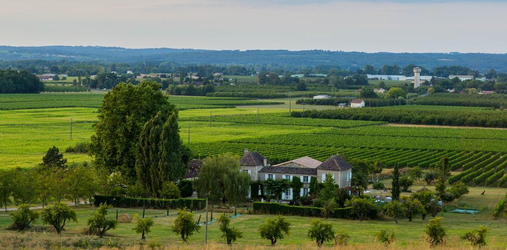 Bed and Breakfast Domaine De La Queyssie Saussignac Zewnętrze zdjęcie